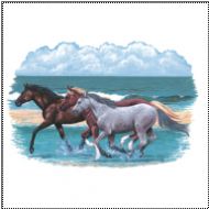 Perstransfer: 3 Horses on Beach (A) 20x32 - H1