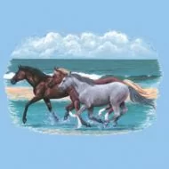 Perstransfer3 Horses on Beach 15x23- H1