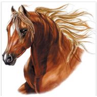 Perstransfer: Brown horse head with pocket 30x30 - H2