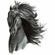 Perstransfer: Friesian horse head 25x33 - H2