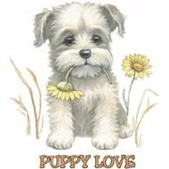 Perstransfer: Puppy love 13x15 - H2