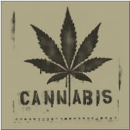 Perstransfer: Cannabis 25x28- W1