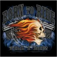 Perstransfer: Born to ride 33x28 - W1