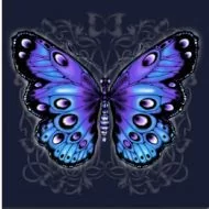 Perstransfer: Blue and purple butterfly 23x20 - W1