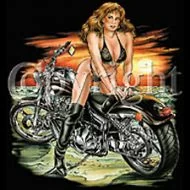 Perstransfer: Bike babe sunset 31x33- W1