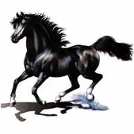 Perstransfer: Airbrush black Horse 31x25 - H2