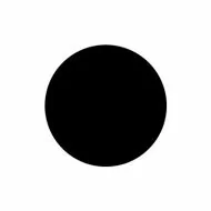 Statische raamfolie black