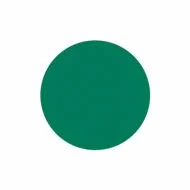 Vel statische raamfolie green 30x100