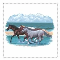 Perstransfer: 3 Horses on Beach (A) 20x32 - H1
