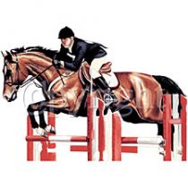 Perstransfer: Horse  & Rider jumper 20x28- H2