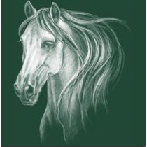 Perstransfer: White horse head 23x30 - W1