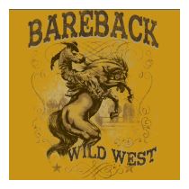 Perstransfer: Bareback wild west 36x46 - W1