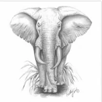 Perstransfer: Elephant 23x25 - H1