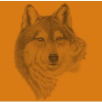 Perstransfer: Wolf 20x25 - H1