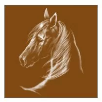Perstransfer: Horsehead 23x25 - W1