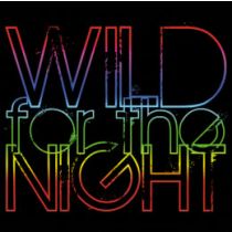 Perstransfer: Wild for the night 23x20 - W1