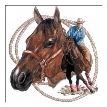 Perstransfer: Horse lasso/ Cutting horse 30x33- H1