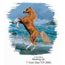 Perstransfer: Steigerend paard 27x37- H1