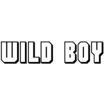 Wild Boy.  ca. 26 x 6 cm